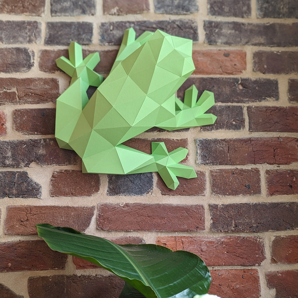 Darius the Frog | DIY Paper Craft Animal Kit