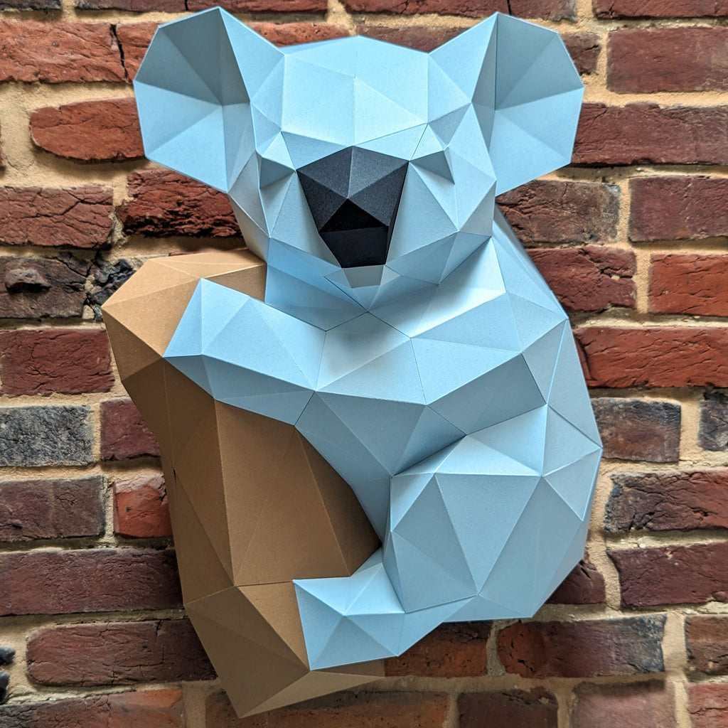 Gwen the Koala