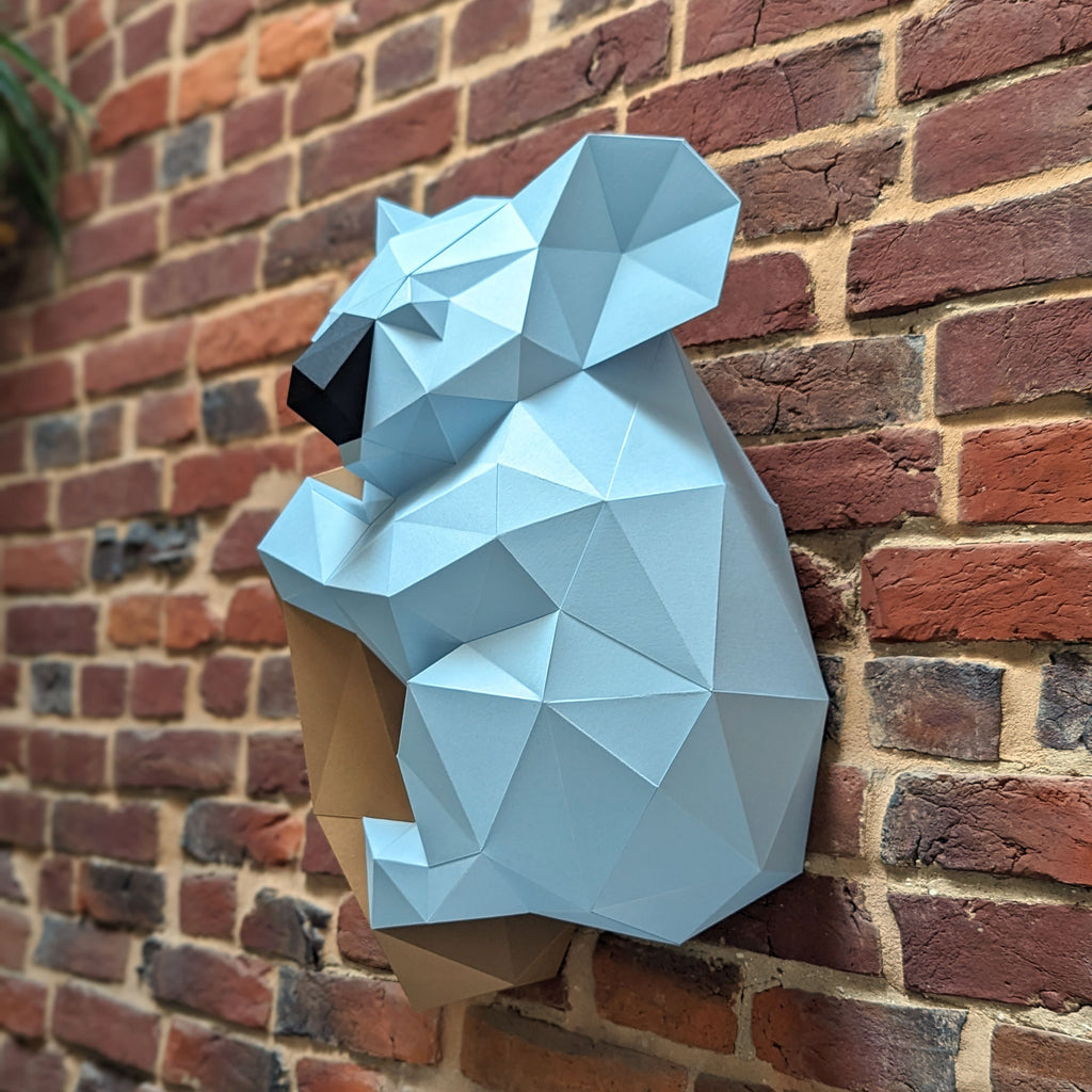 Gwen the Koala
