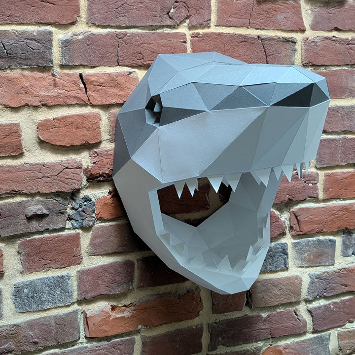 Courtney the Shark