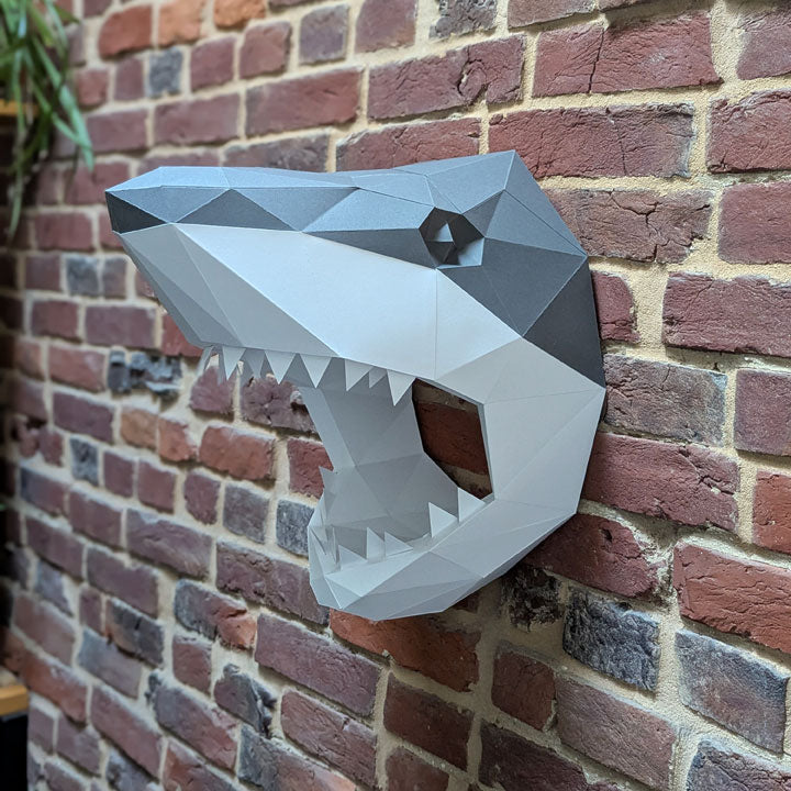 Courtney the Shark