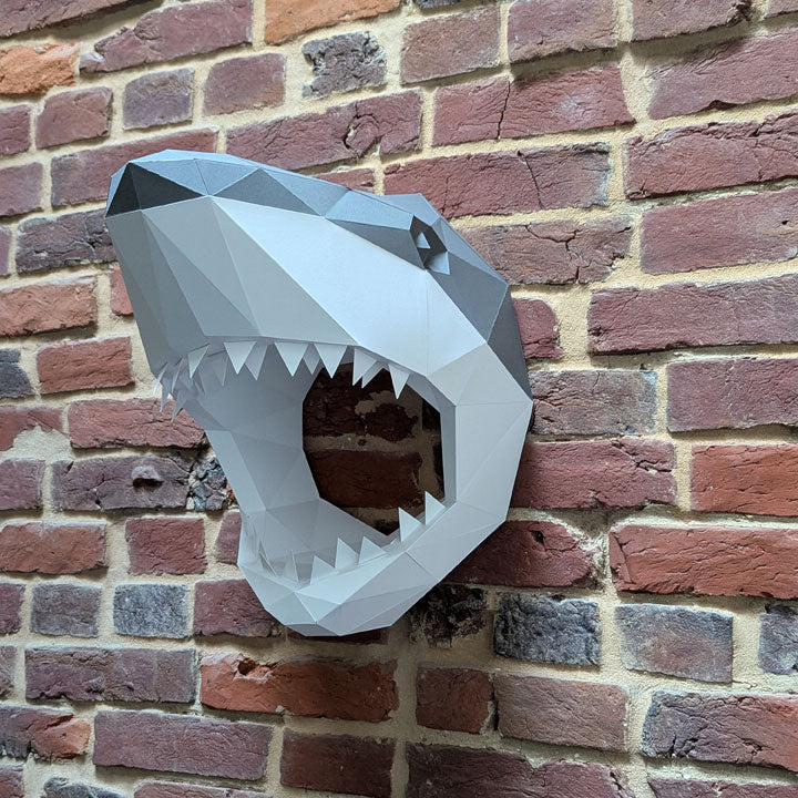 Courtney the Shark