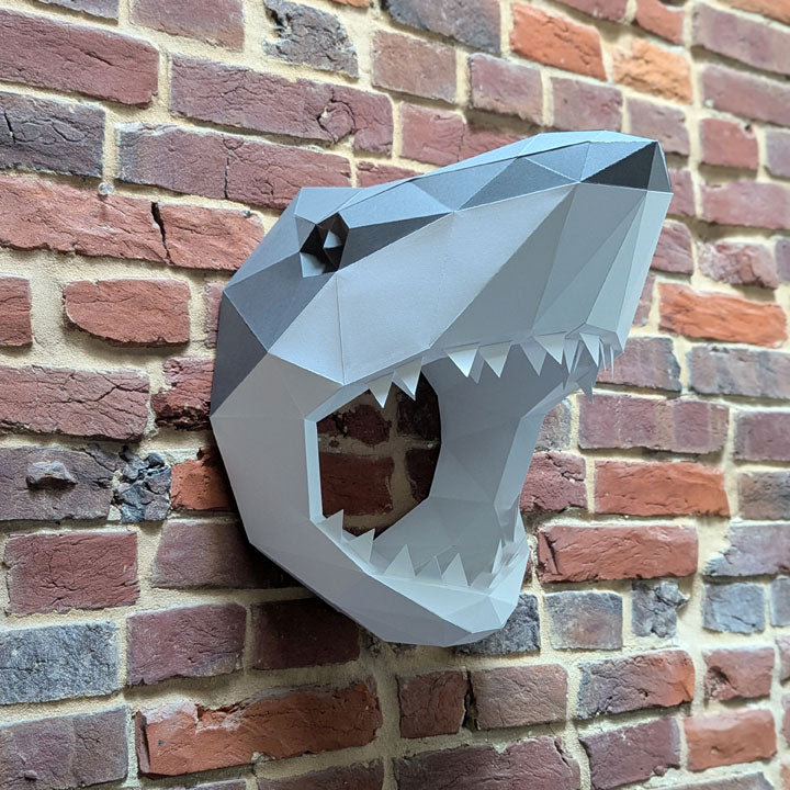 Courtney the Shark