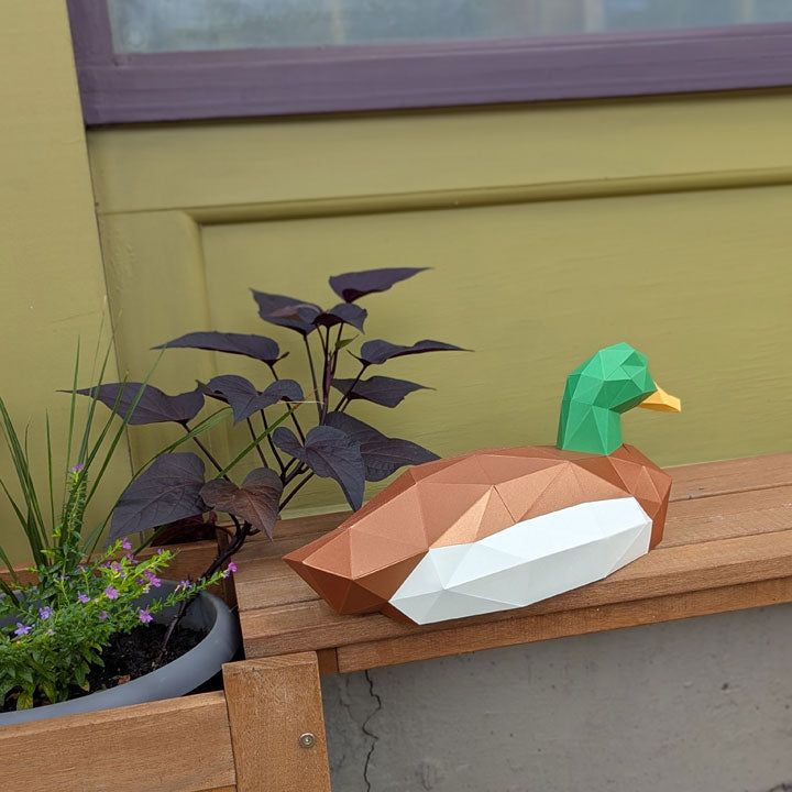 Thomas the Duck