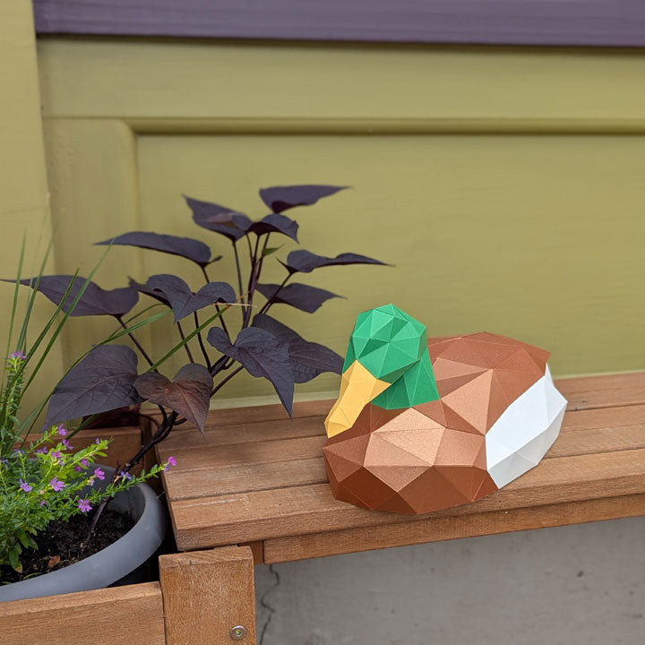 Thomas the Duck