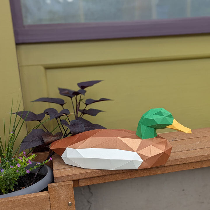 Thomas the Duck