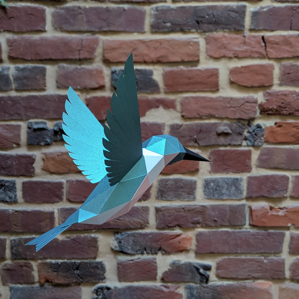 Delilah the Hummingbird