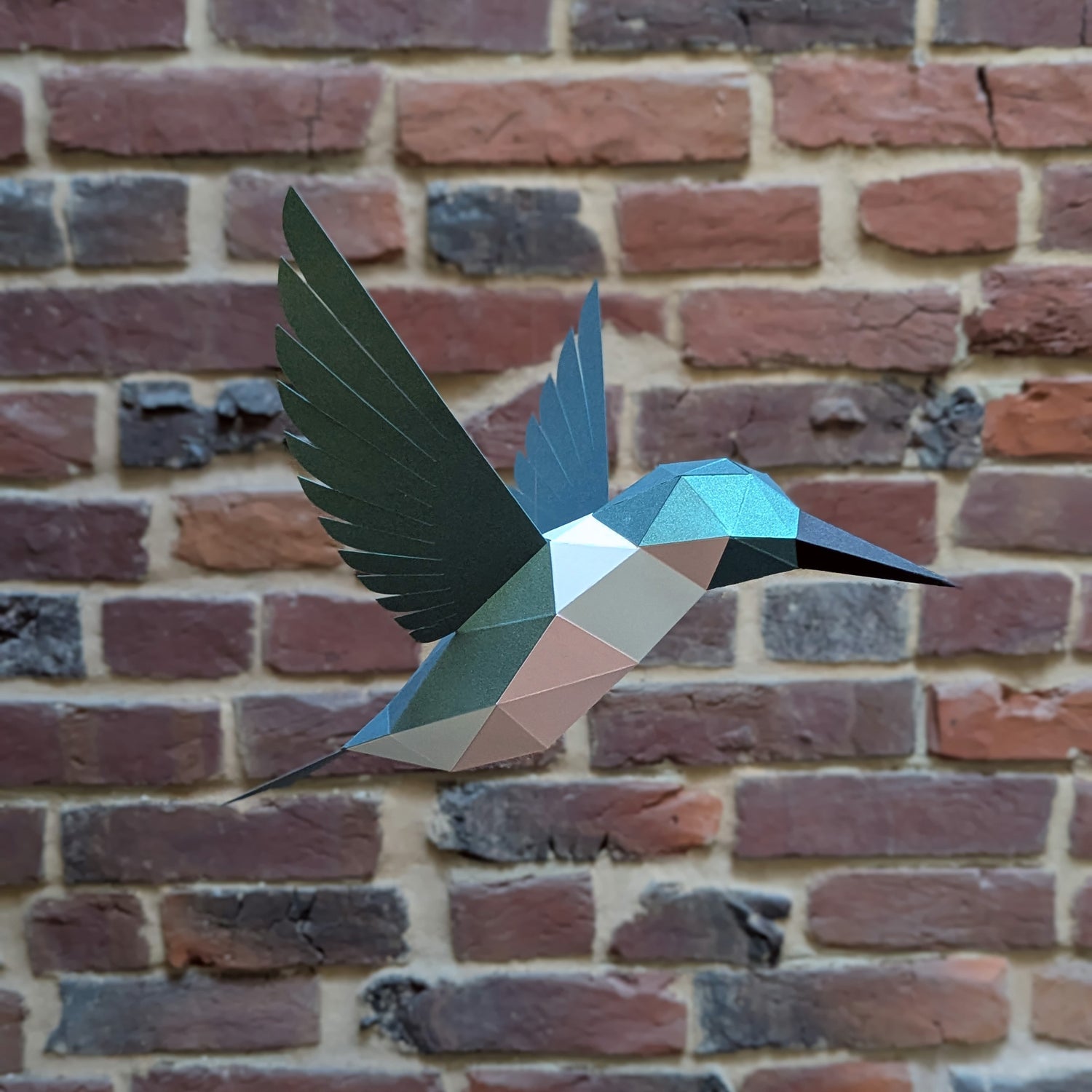 Delilah the Hummingbird