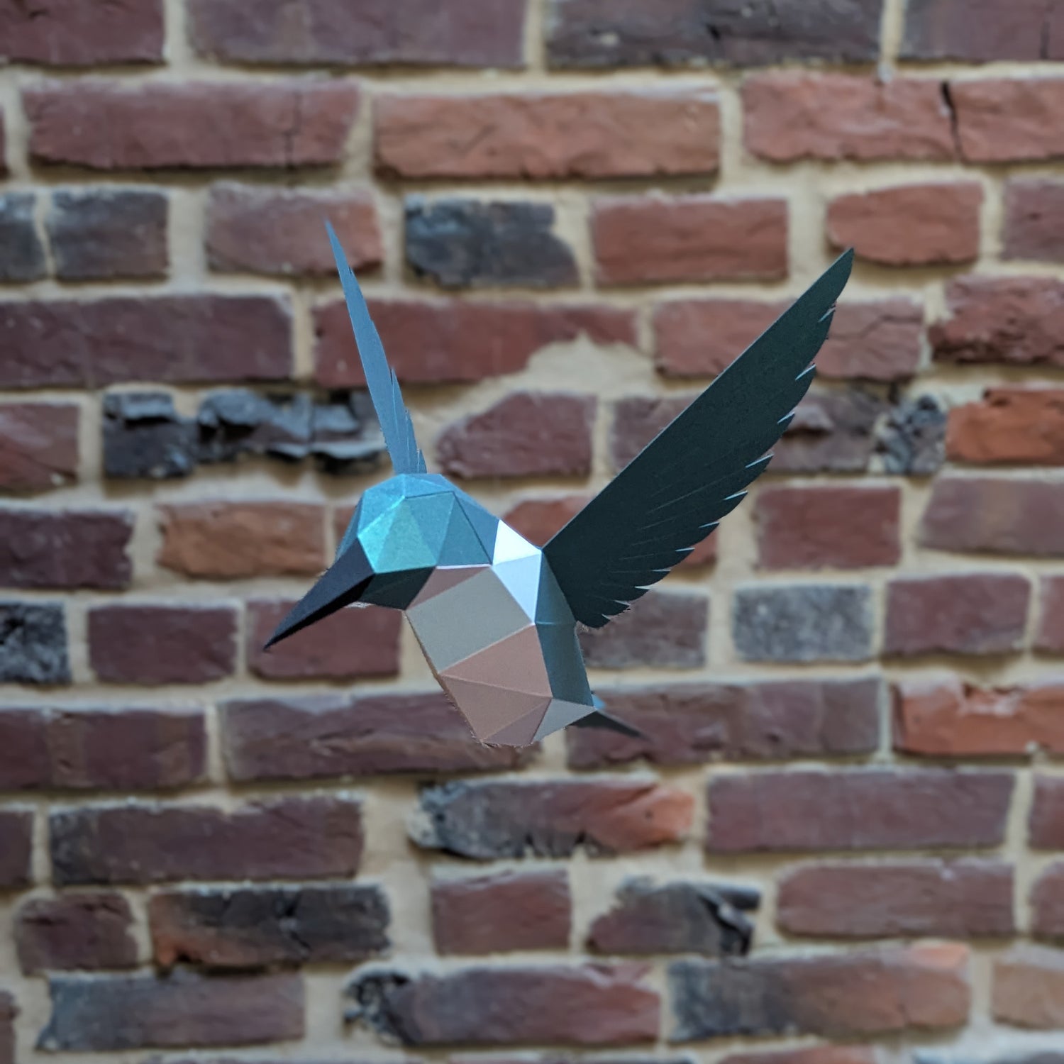 Delilah the Hummingbird