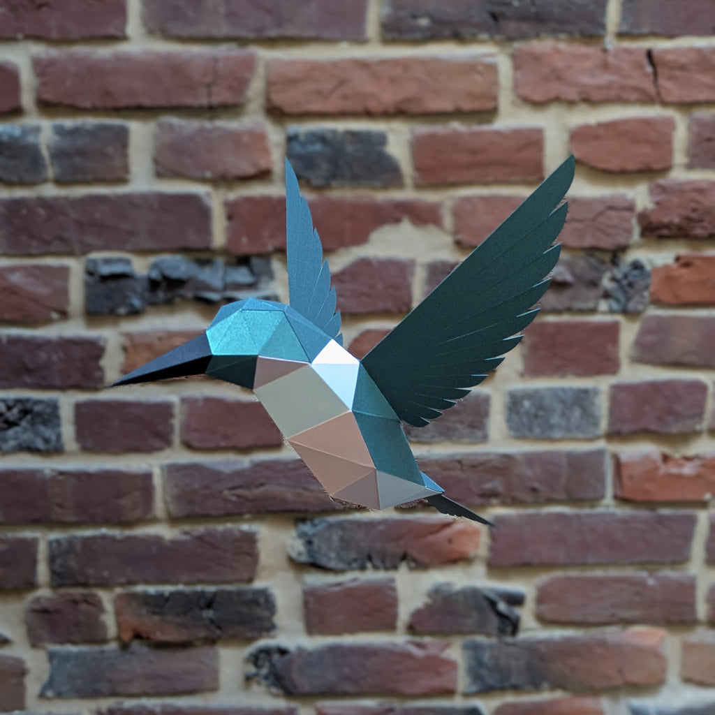 Delilah the Hummingbird