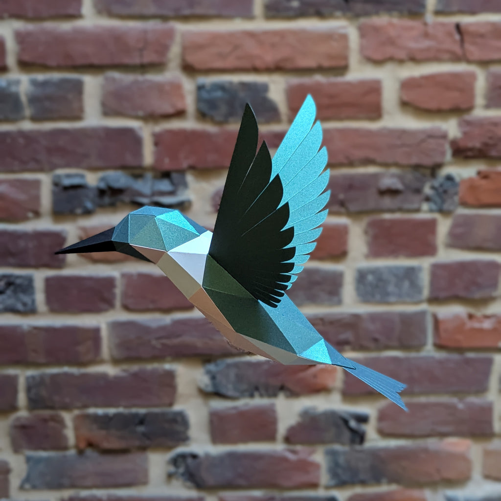 Delilah the Hummingbird