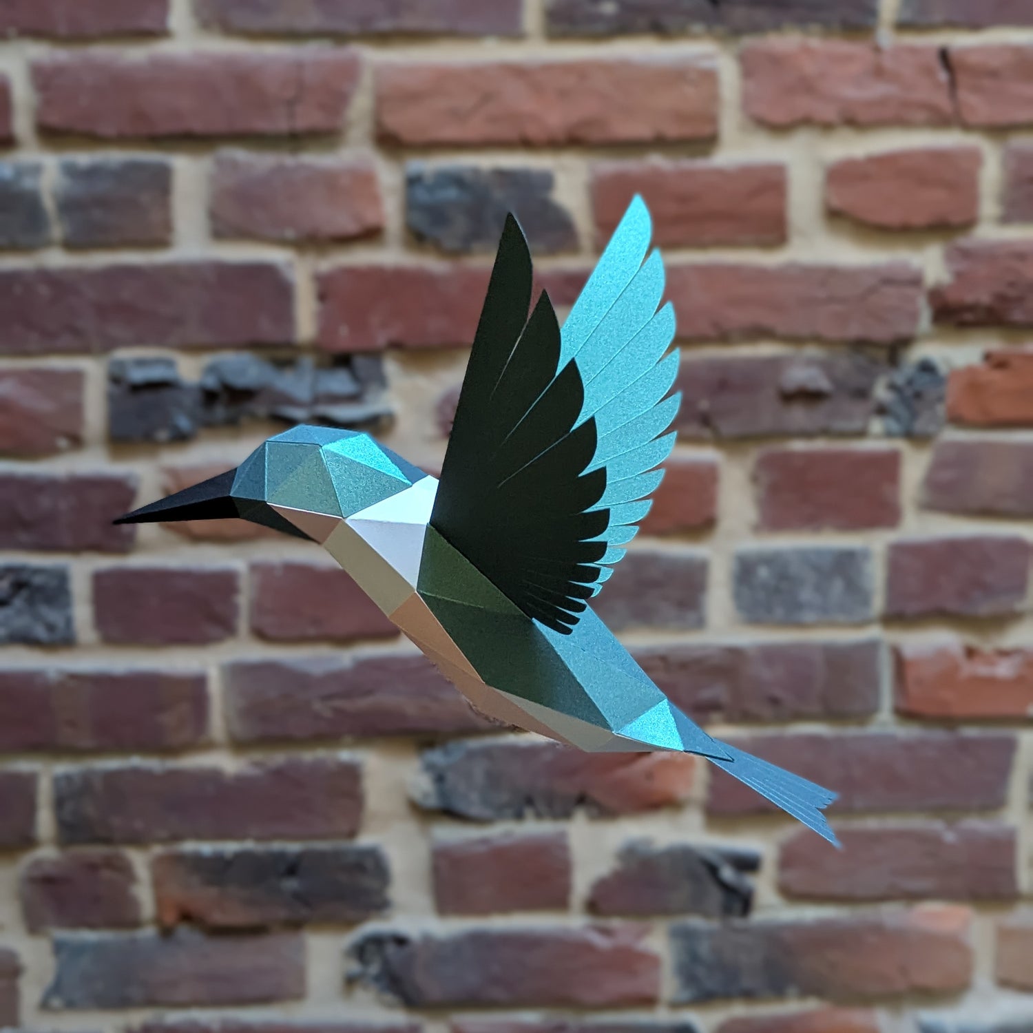 Delilah the Hummingbird