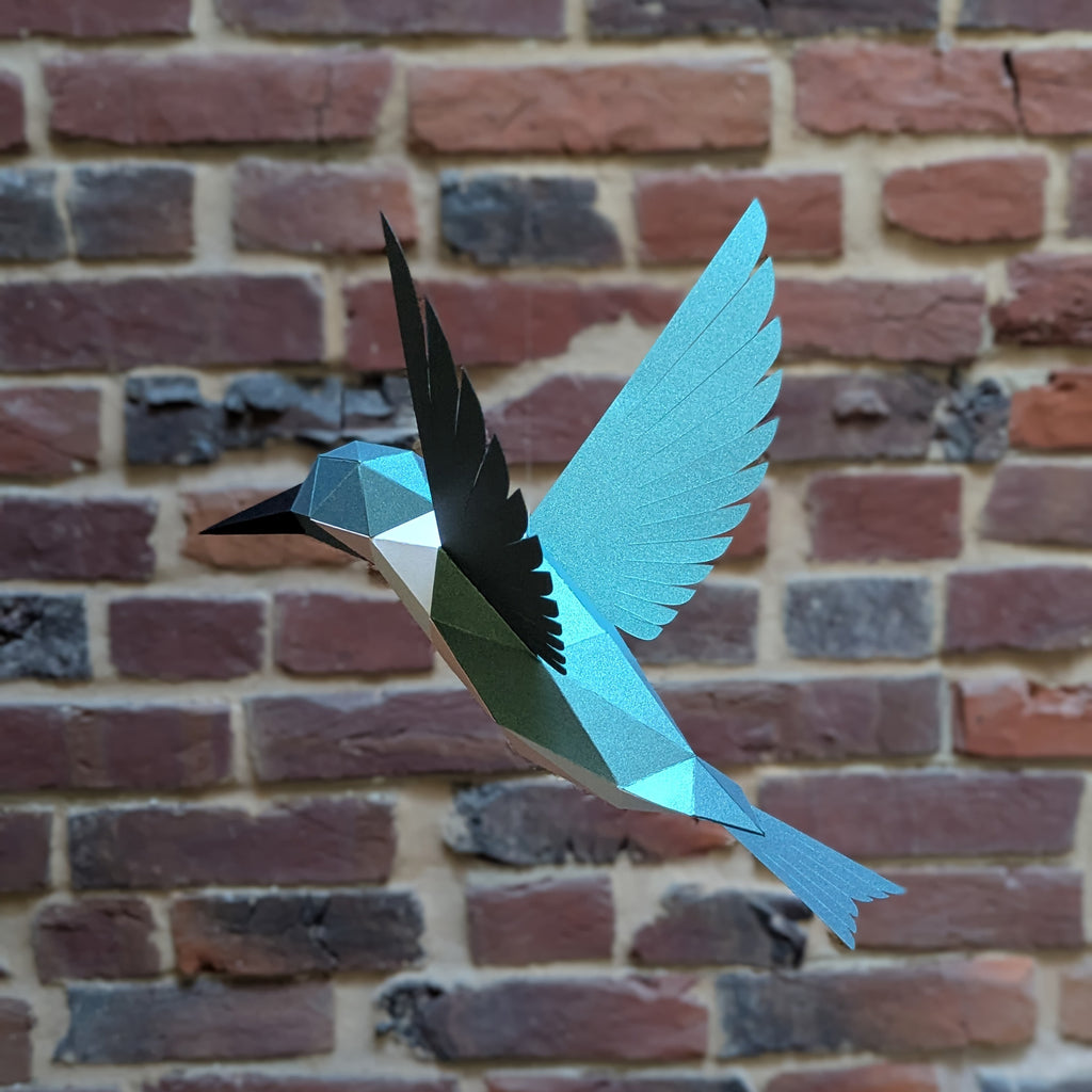 Delilah the Hummingbird