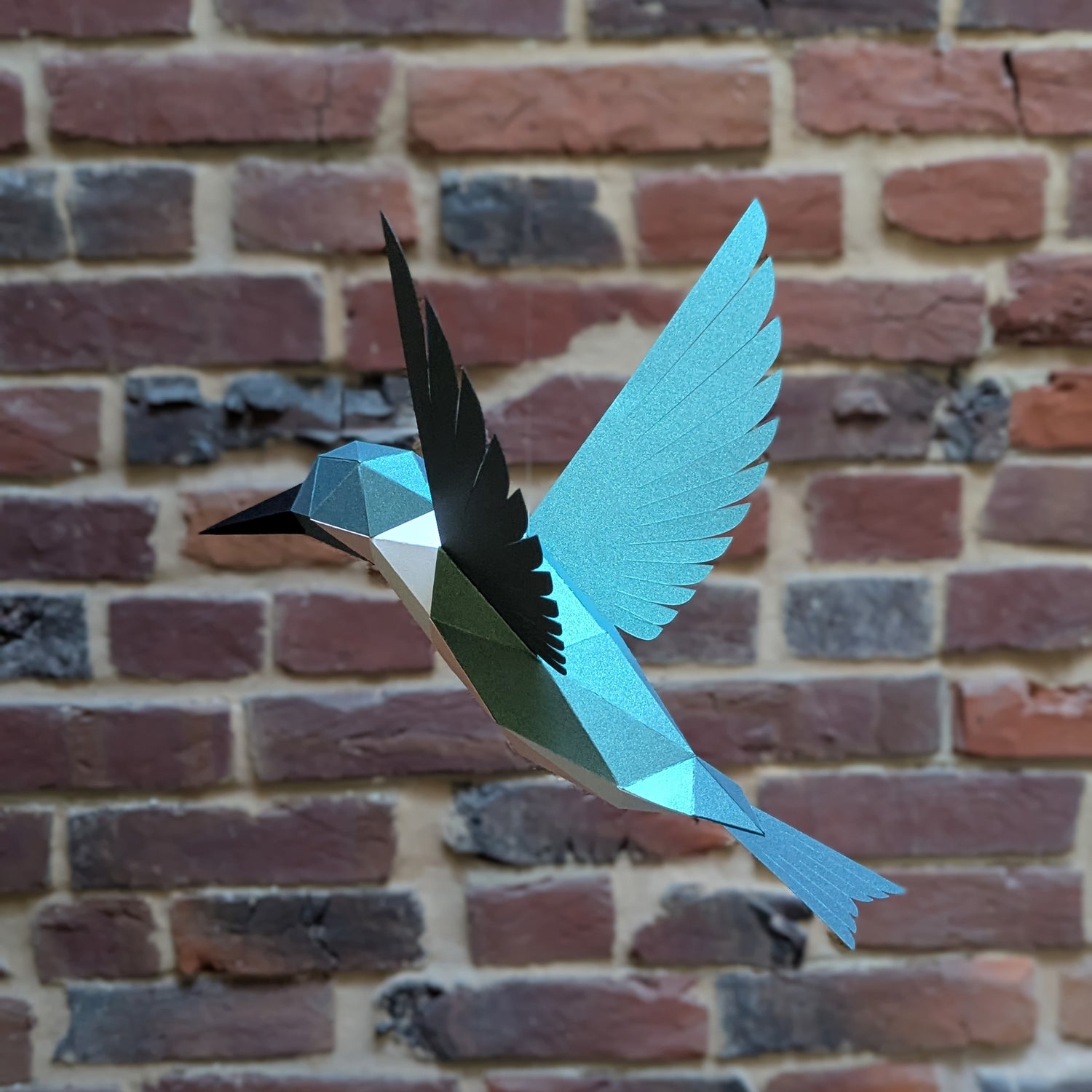 Delilah the Hummingbird