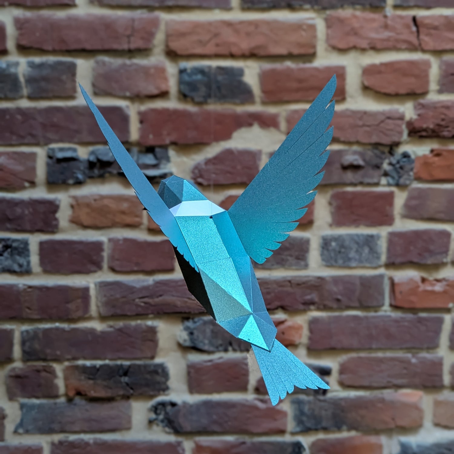 Delilah the Hummingbird