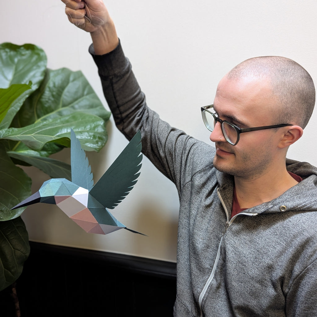 Delilah the Hummingbird