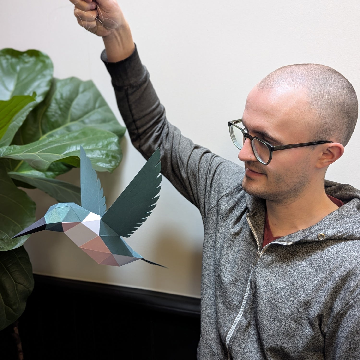 Delilah the Hummingbird