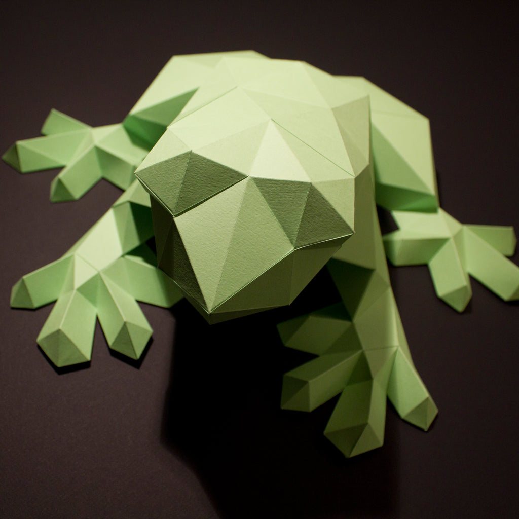 Darius the Frog | DIY Paper Craft Animal Kit