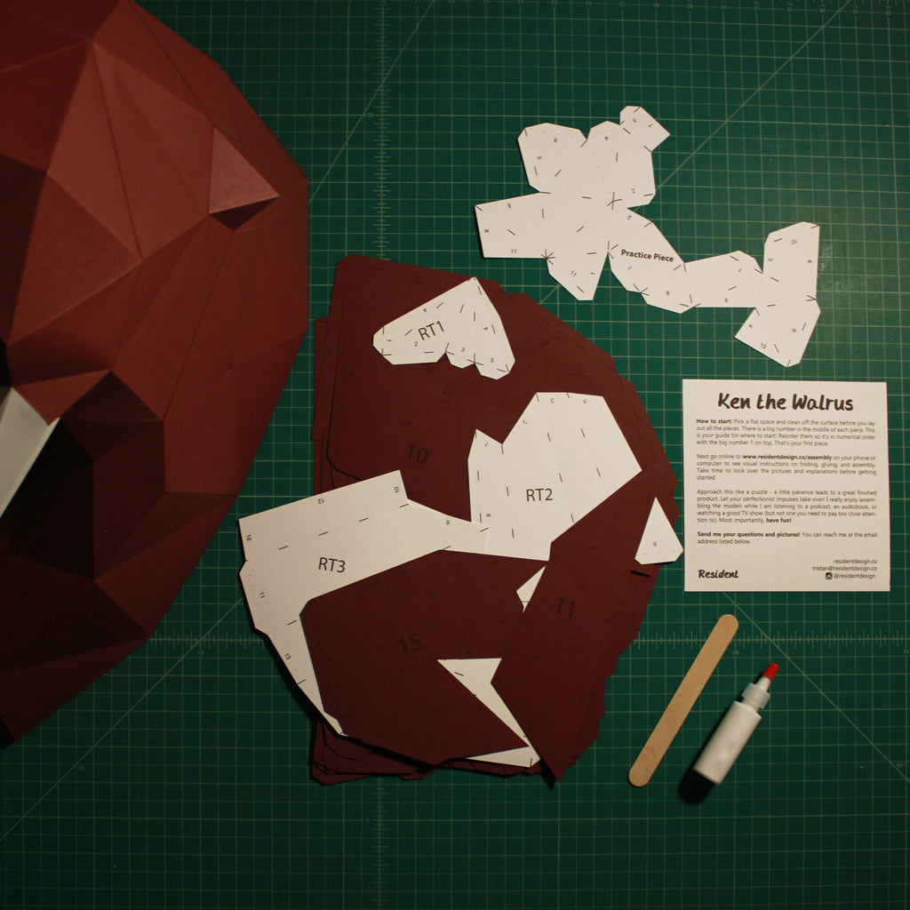 Cut & Scored DIY Animal Paper Sculpture Kits | Ken the Walrus